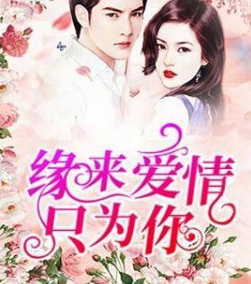 情深万里只宠你免费阅读全文完整版全集1504集