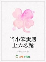 小笨蛋 文