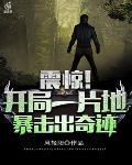 暴击出奇迹免费阅读