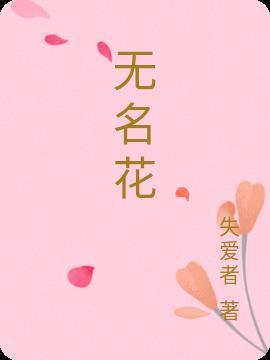 无名花絮 叶先生专辑