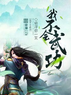 我不会武功 歌词