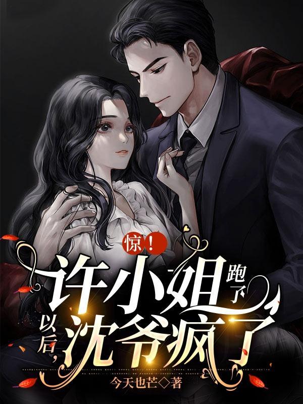 许小姐和宋先生全文免费阅读