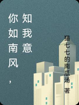 南风知我意by林如斯