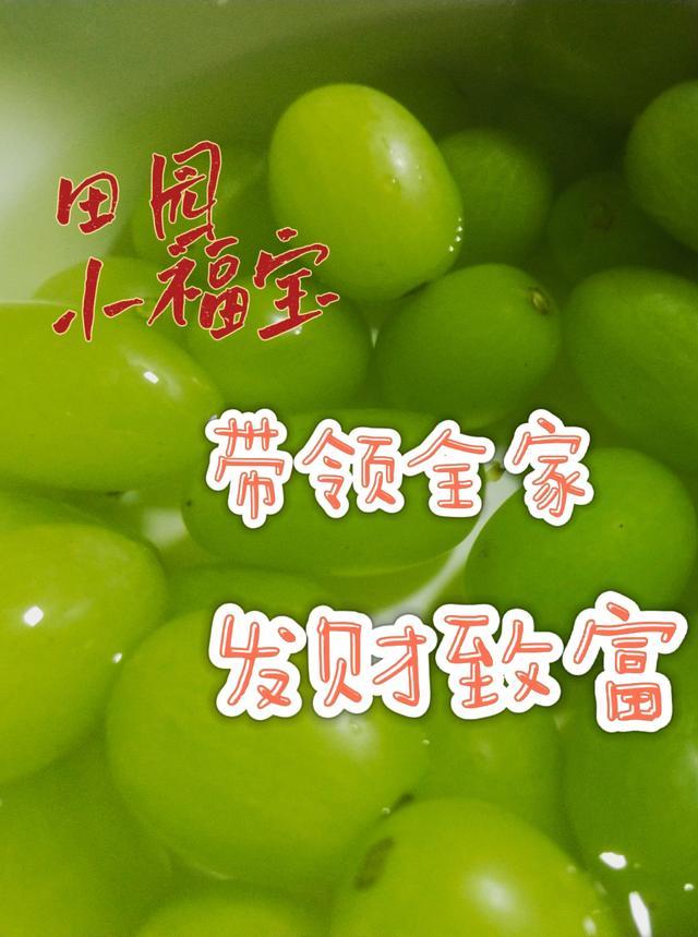 田园小福妻播音