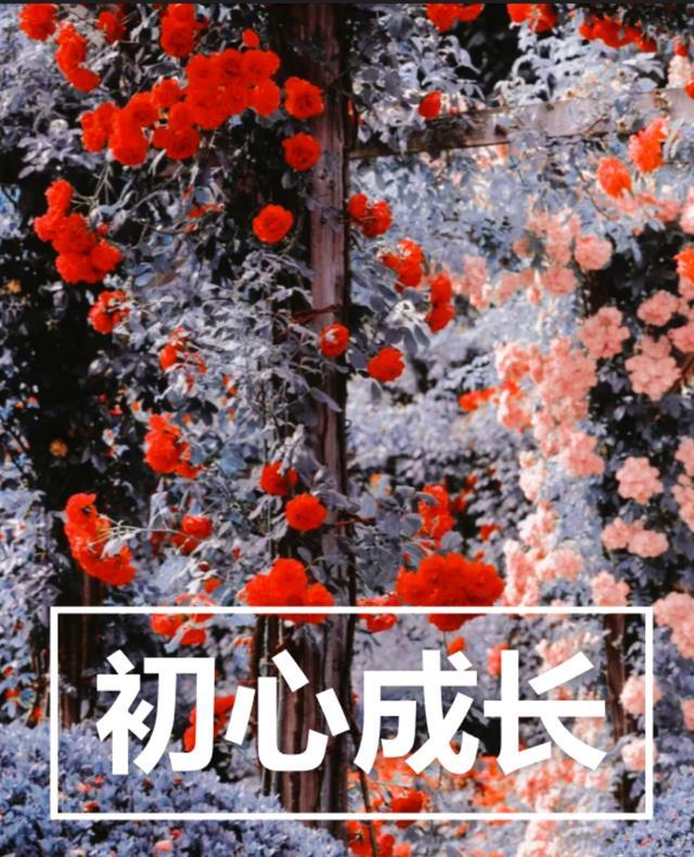 初心不改共成长