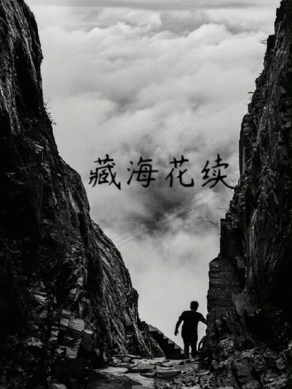 藏海花续作者阎摩罗王C