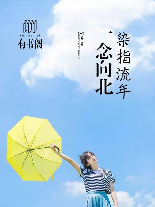 一念向北染指流年txt