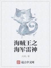 海贼王之海军雷神  笔趣阁