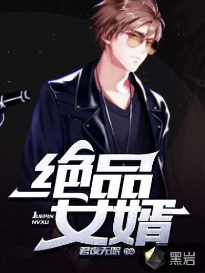 绝品女婿阅读