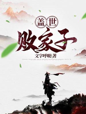 盖世败家子 文字呼吸 笔趣阁