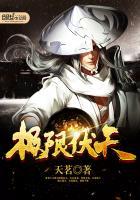 极限伏天txt全集
