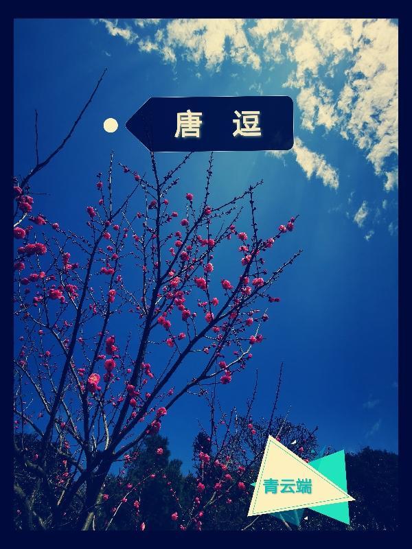 唐逗综艺韩剧