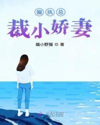偏执总裁娇宠小妻子