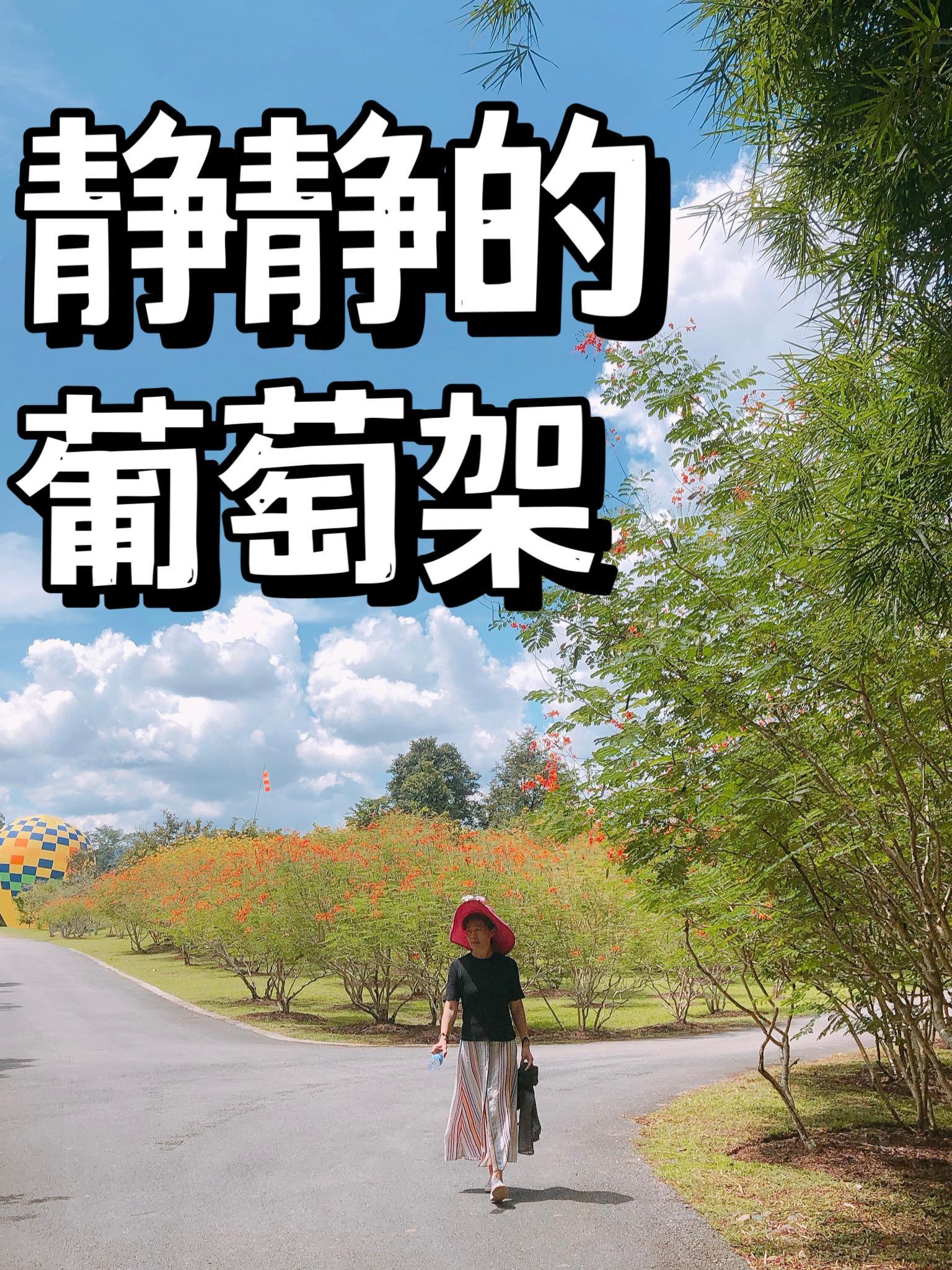 葡萄架样子