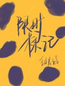 限定的标志