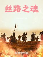 丝路之魂图片高清