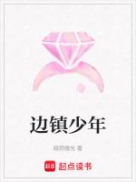 少年边防兵作者