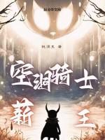 空洞骑士愚人之王