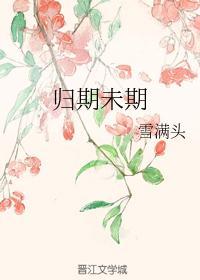 归期未期txt雪满头书包网