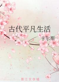 古代平民生活的电视剧