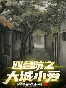 四合院之大城小爱gl