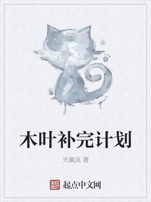 木叶丸策划