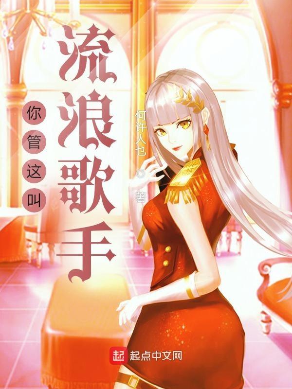 你管这叫流浪歌手是谁