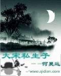 大宋私生孑