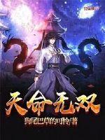 梦三国官渡天命无双