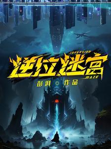 逆位迷宫实体书