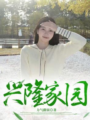 兴隆家园锅炉