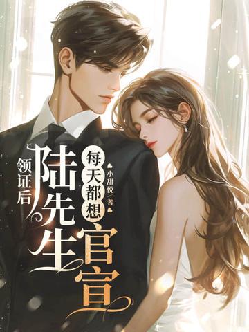 免费阅读结婚后陆先生天天粘着我