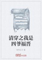 清穿我是四爷的外室
