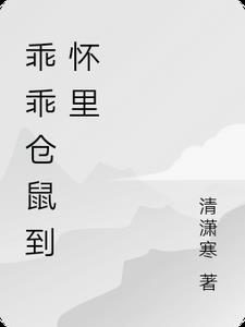 仓鼠乖巧吗