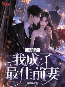最佳前妻电视剧