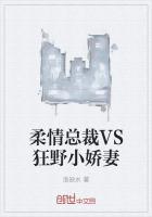 柔情总裁vs狂野小娇妻漫画