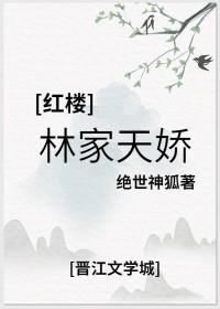 红楼 林家 宠文完结