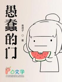 愚蠢的见解