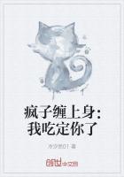 疯子(h)
