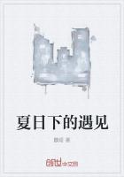 夏日之下的电视剧