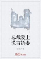 霸道总裁爱上说谎小助理