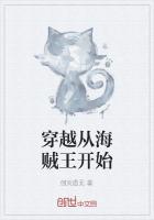 穿越到海贼王世界的