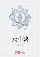 云中诀 阵容
