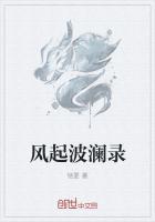 风起微澜未删减txt