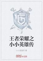 王者荣耀英雄传8