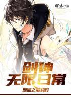 口袋剑神无限