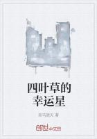 幸运星四叶草寓意