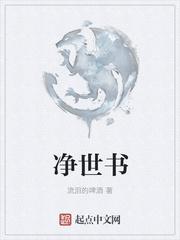 净世书法