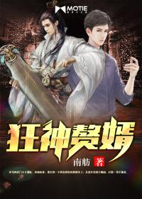 狂婿中的各种境界