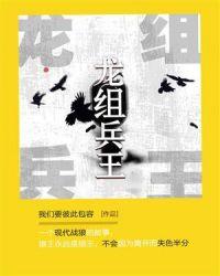 龙组兵王听书